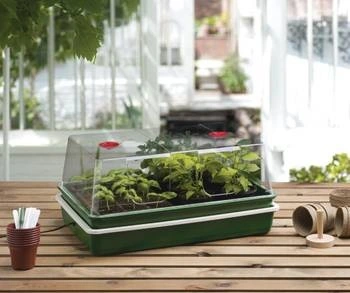 Electric Propagator - image 2