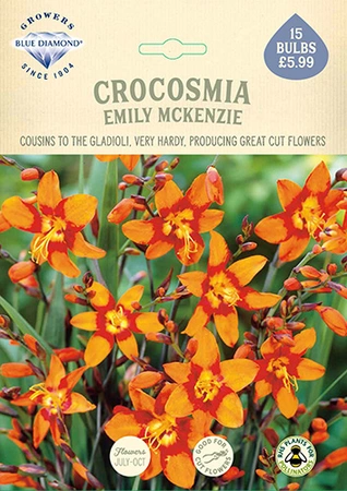 Crocosmia Emily McKenzie - image 2