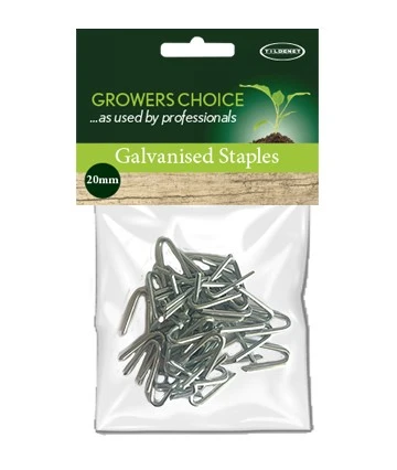 Galvanised Staples 20Mm 150G