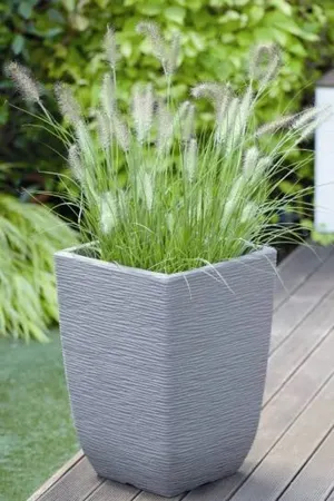 Costwold Tall Square Limestone Grey