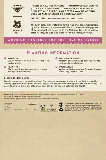 Fritillaria Meleagris Mixed Colours - image 4