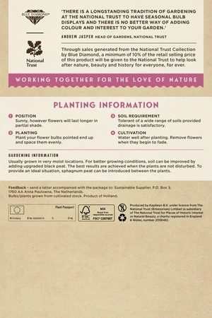 Fritillaria Meleagris Mixed Colours - image 4