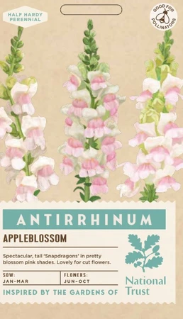 ANTIRRHINUM Appleblossom - image 1