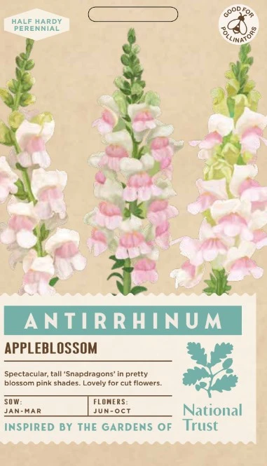 ANTIRRHINUM Appleblossom - image 1