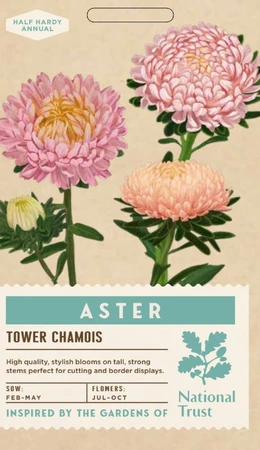 ASTER Tower Chamois - image 1