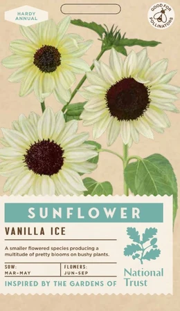 SUNFLOWER Vanilla Ice - image 1
