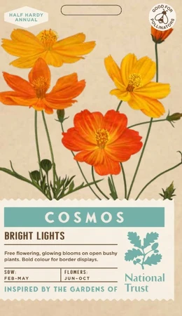 COSMOS Bright Lights - image 1