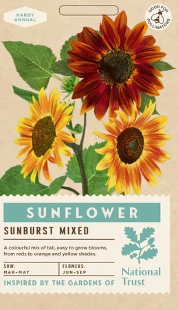 SUNFLOWER Sunburst Mixed - image 1