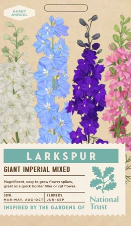 LARKSPUR Giant Imperial Mixed - image 1
