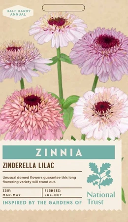 ZINNIA Zinderella Lilac - image 1