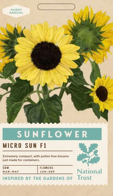 SUNFLOWER Micro Sun - image 1