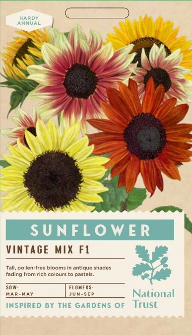 SUNFLOWER Vintage Mix F1 - image 1