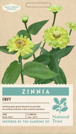 ZINNIA Envy - image 1