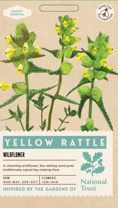 YELLOW RATTLE - image 1