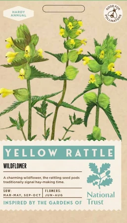 YELLOW RATTLE - image 1