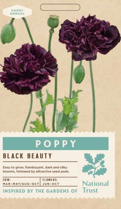 POPPY Black Beauty - image 1