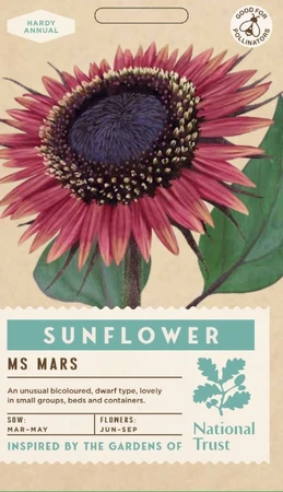 SUNFLOWER Ms Mars - image 1