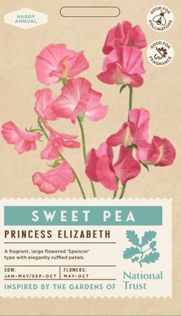 SWEET PEA Princess Elizabeth - image 1