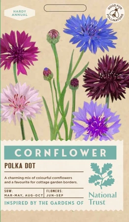 CORNFLOWER Polka Dot - image 1