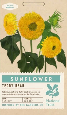 SUNFLOWER Teddy Bear - image 1