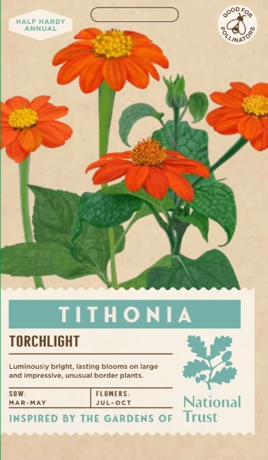 TITHONIA Torchlight - image 1