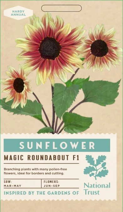 SUNFLOWER Magic Roundabout F1 - image 1