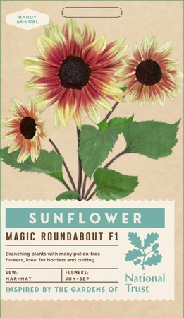 SUNFLOWER Magic Roundabout F1 - image 1