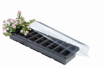 Windowsill Greenhouse - image 2