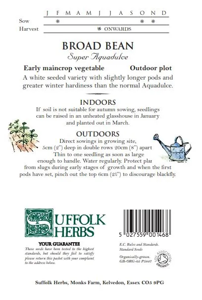 Broad Bean Super Aquadulce - image 2