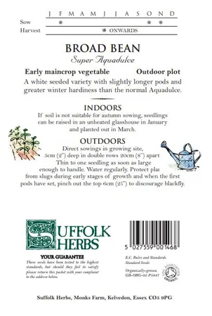 Broad Bean Super Aquadulce - image 2