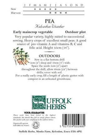 Pea Kelvedon Wonder - image 2