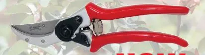 Diamond Cut Pro Bypass Pruner Bd