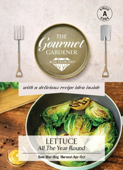 LETTUCE All The Year Round