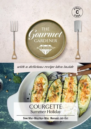 COURGETTE Summer Holiday