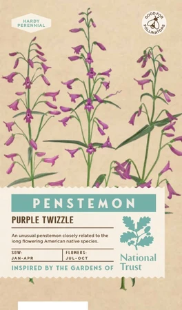 PENSTEMON Twizzle Purple - image 1