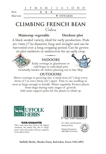 Climbing French Bean Cobra - image 2