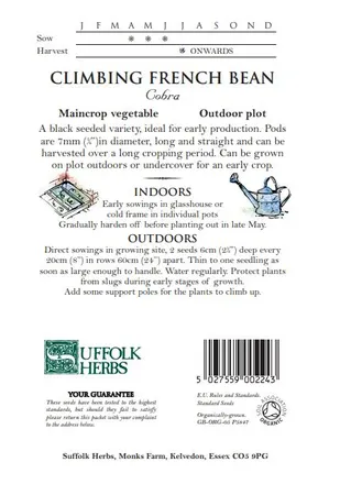 Climbing French Bean Cobra - image 2