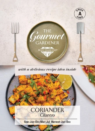 CORIANDER Cilantro