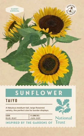 SUNFLOWER Taiyo - image 1
