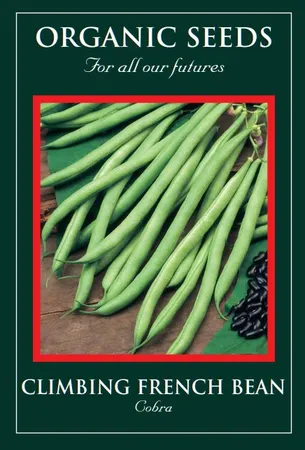 Climbing French Bean Cobra - image 1