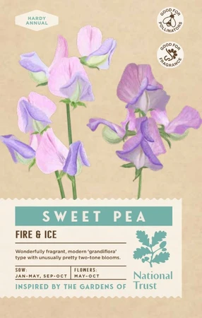 SWEET PEA Fire and Ice - image 1