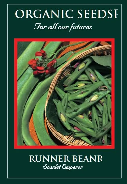Runner Bean Scarlett Emperor - image 1