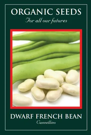 Dwarf French Bean Cannellino - image 1