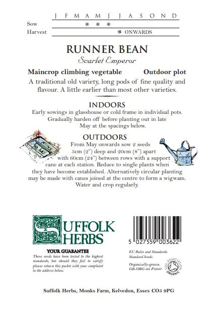 Runner Bean Scarlett Emperor - image 2