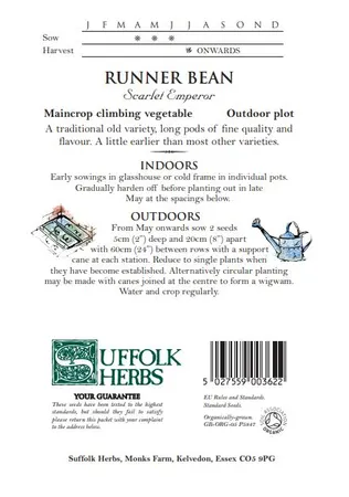 Runner Bean Scarlett Emperor - image 2