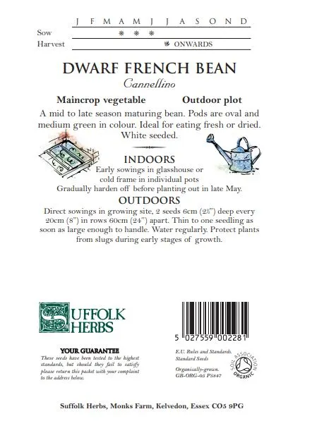 Dwarf French Bean Cannellino - image 2