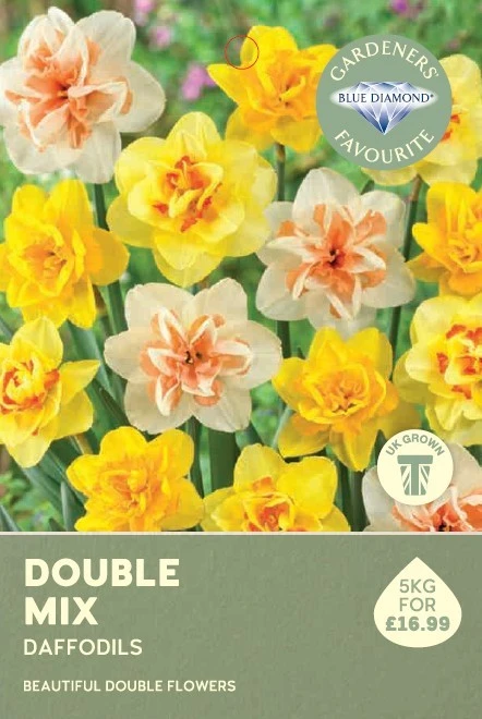 Narcissi Double Mix 5KG