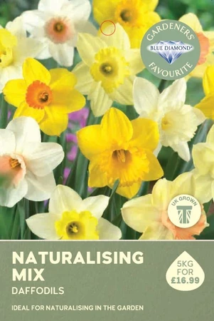 Narcissi Naturalising Mix 5KG