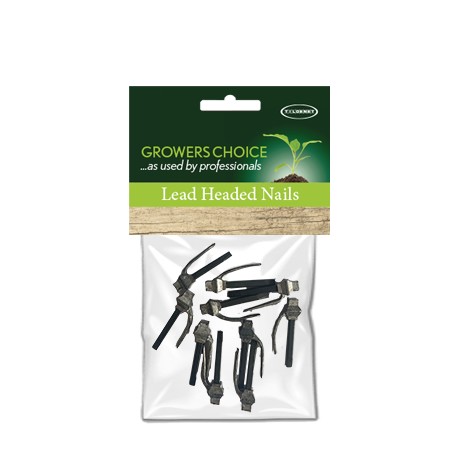 Lead Headed Nails 10Pk