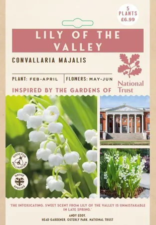 Convallaria Majalis